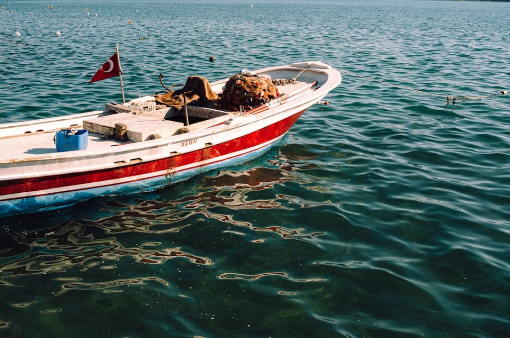 Photo boat motor for sale