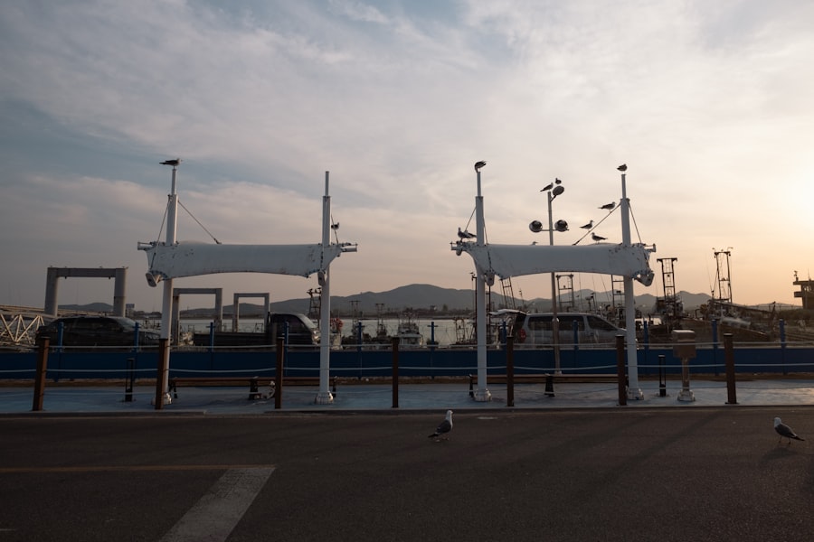 Photo pontoons for sale