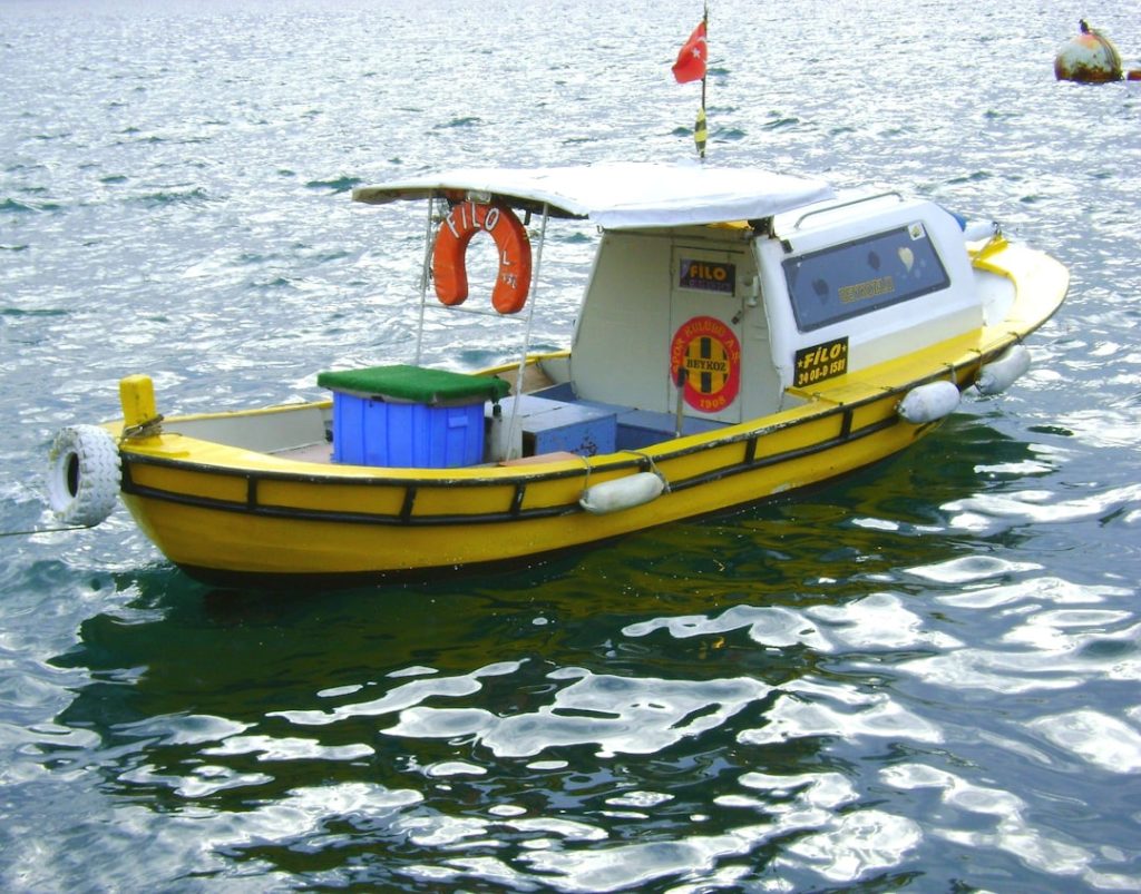 Photo pontoon boat sale used