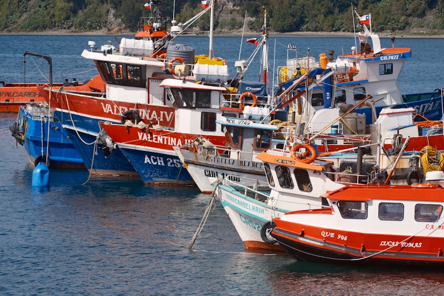 Photo boat suppliers