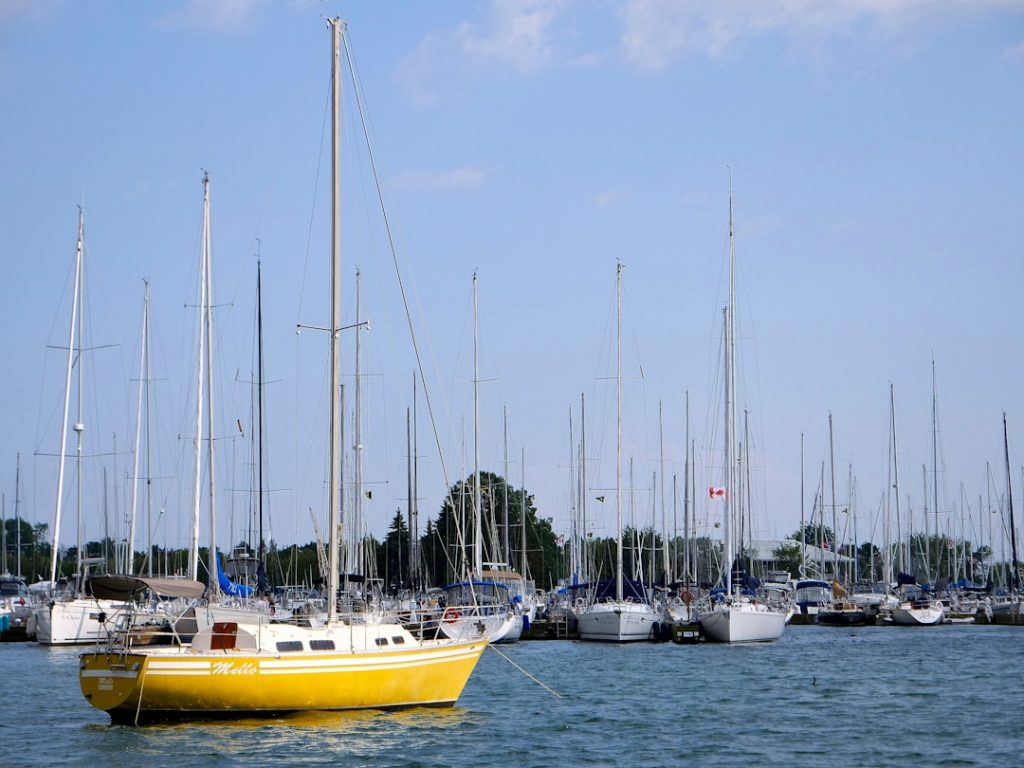 Photo yellow fin boats
