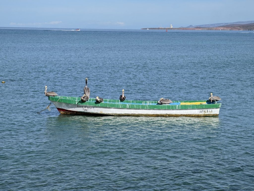 Photo trawlers for sale