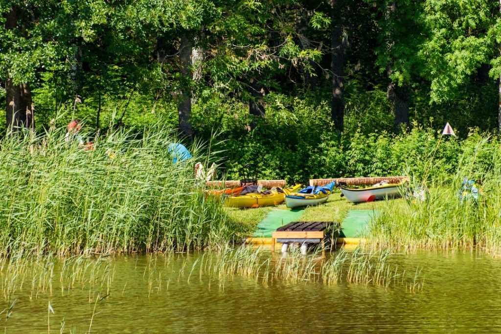 Photo canoe for sale