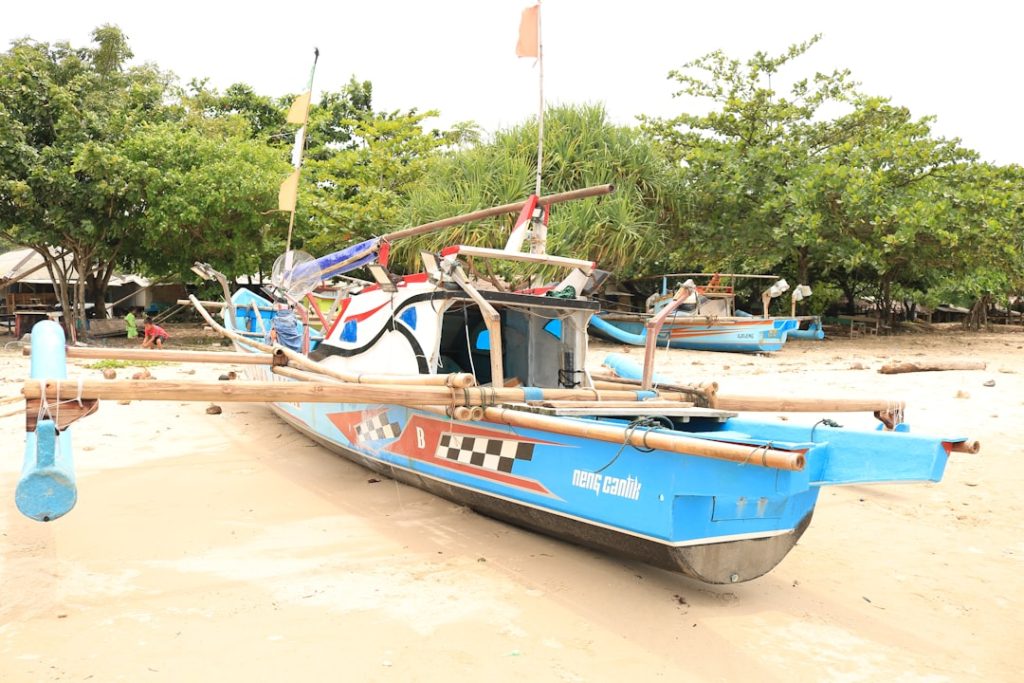 Photo mini jet boat for sale