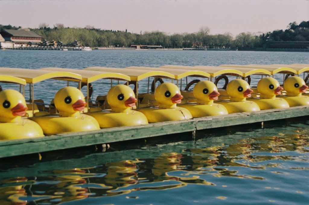 Photo duck boats for sale