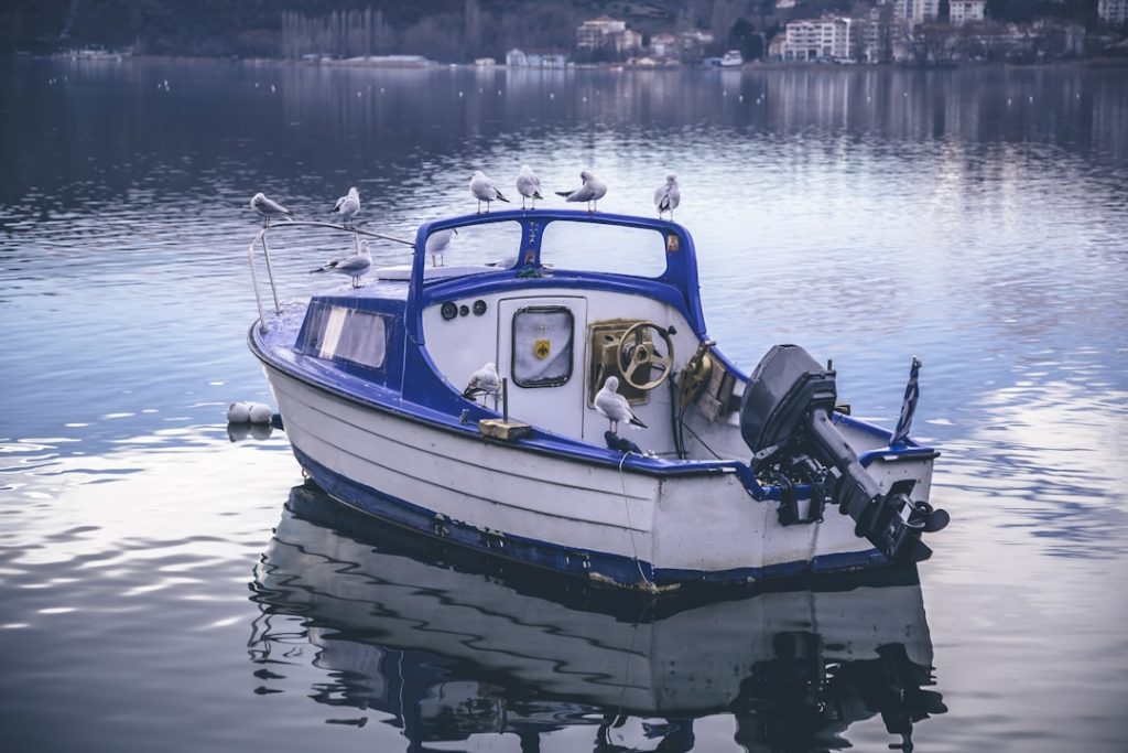 Photo outboard boat motors for sale