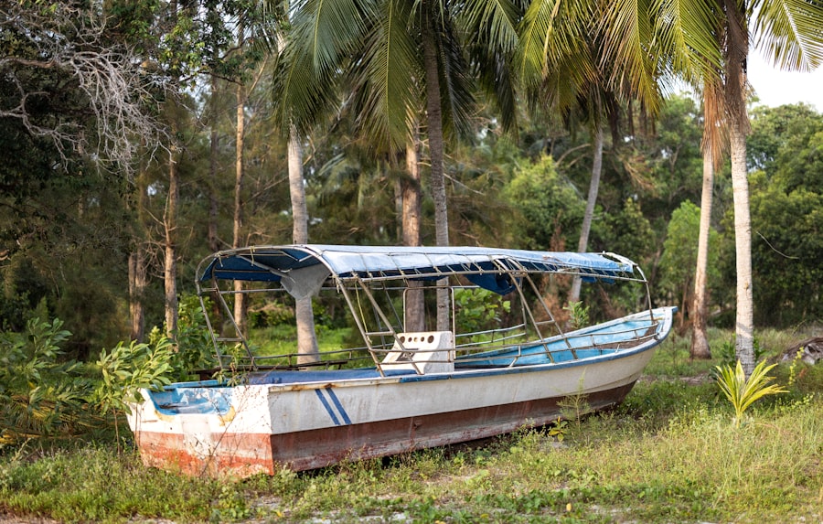 Photo tri toon boat for sale